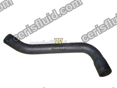 Upper Radiator Hose