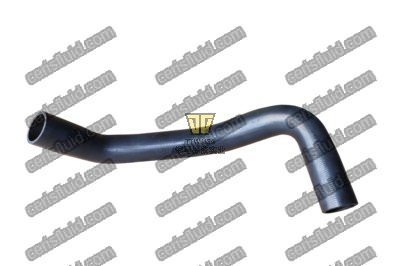 Lower Radiator Hose