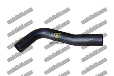 Upper Radiator Hose