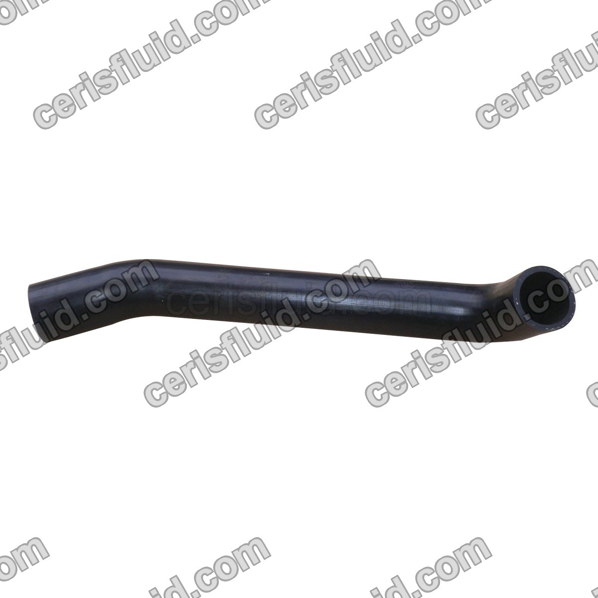Lower Radiator Hose