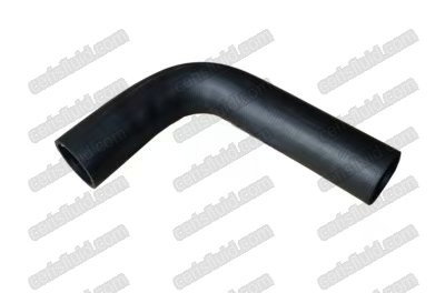 HD800 (6D14) Lower Radiator Hose