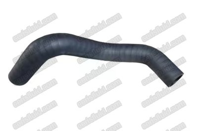 Lower Radiator Hose