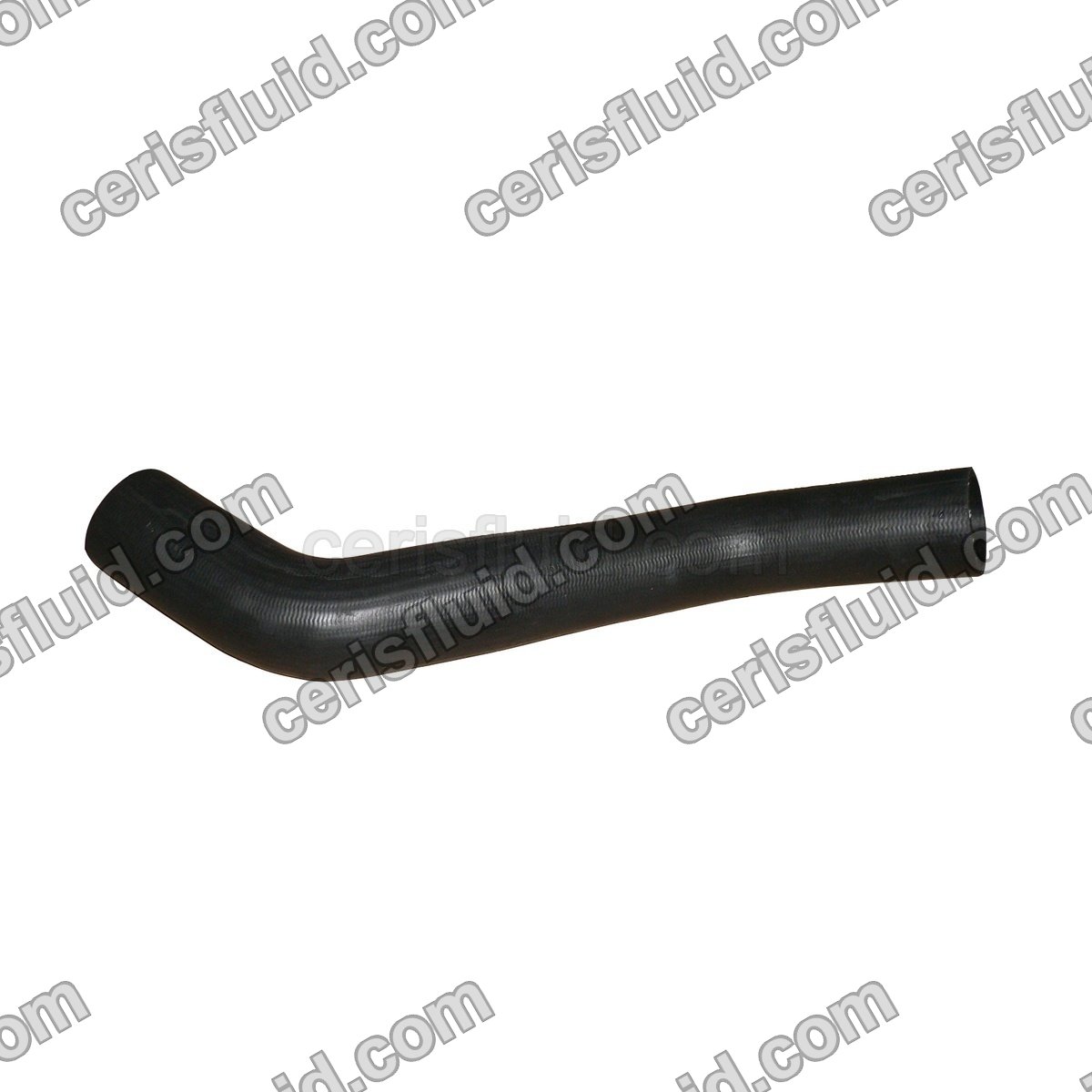 Lower Radiator Hose
